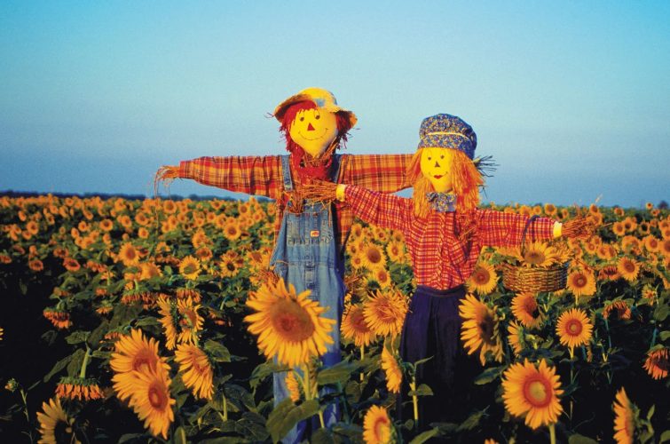 Scarecrows